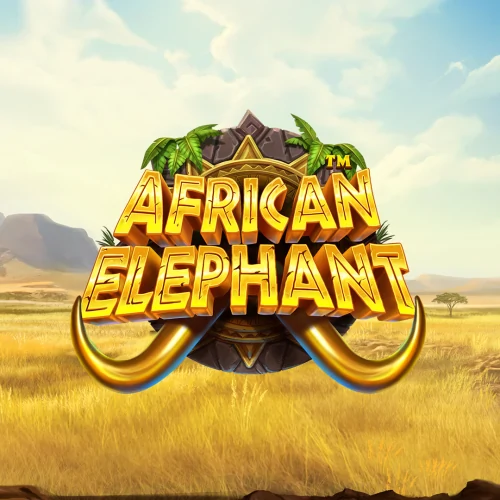 African Elephant