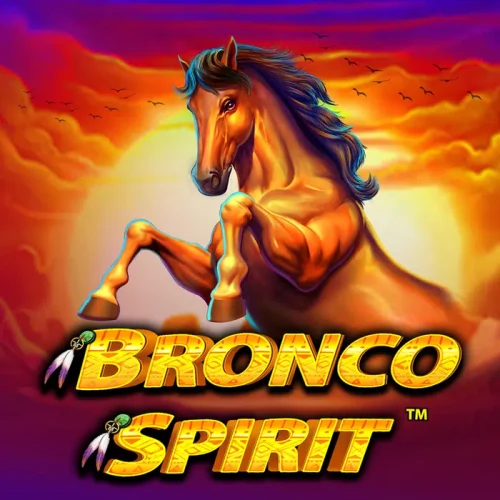 Bronco Spirit