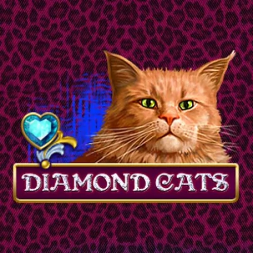 Diamond Cats