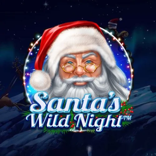 Santa's Wild Night