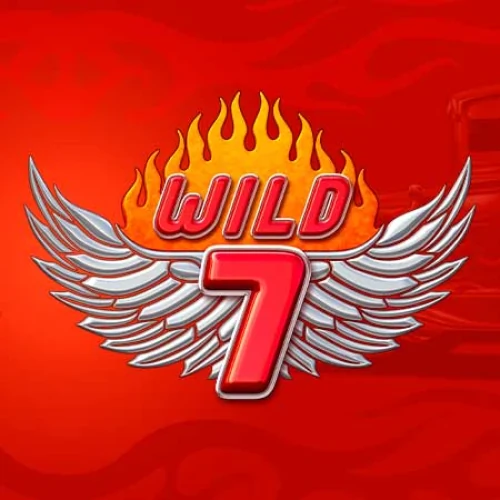 Wild 7