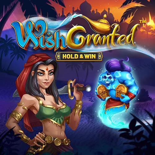 Wish Granted